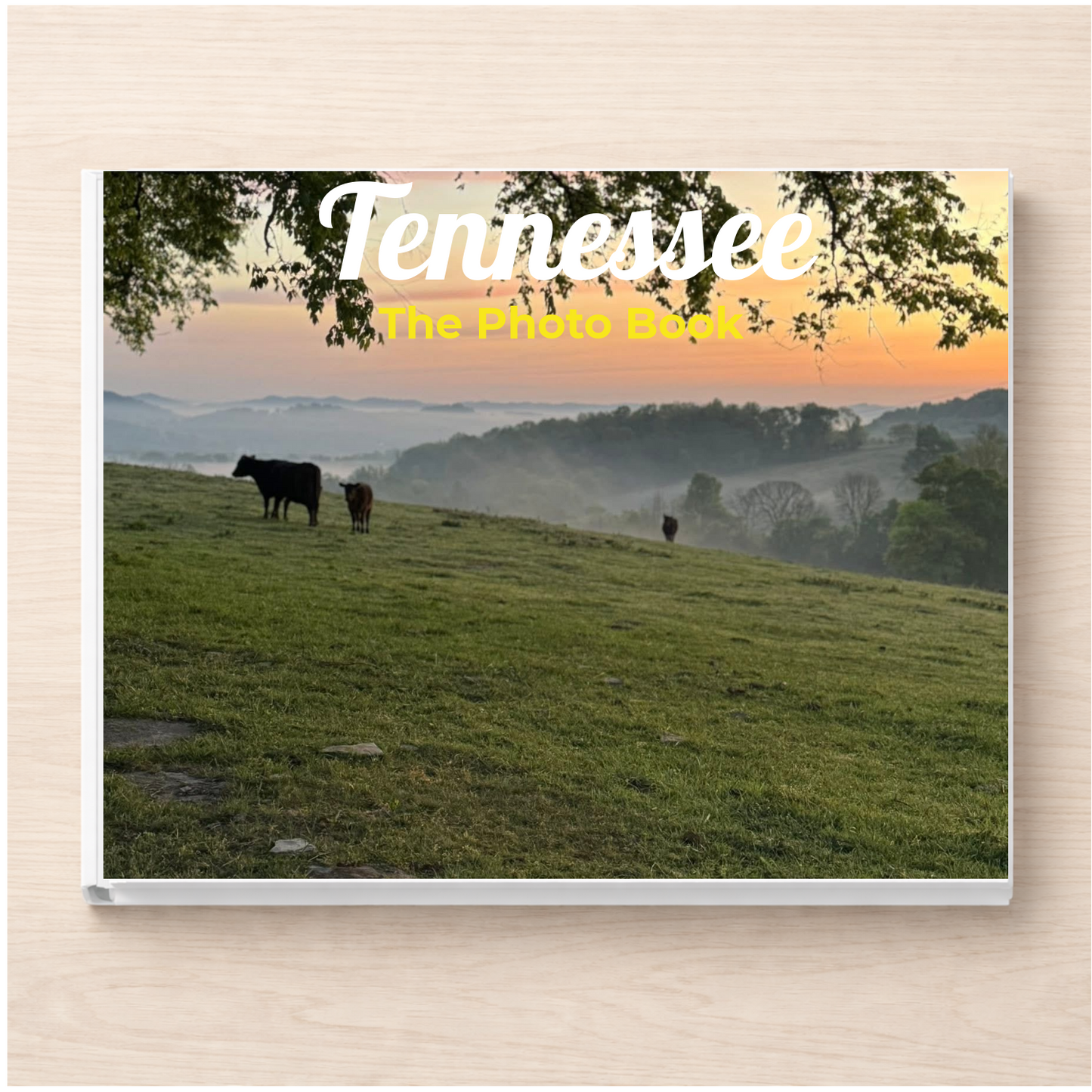 Tennessee: The Photo Book