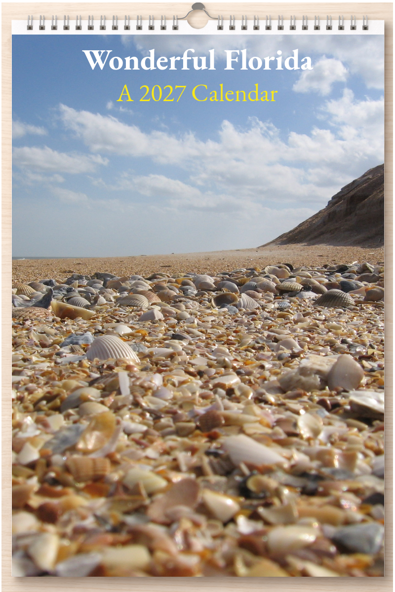 Wonderful Florida: A 2027 Calendar