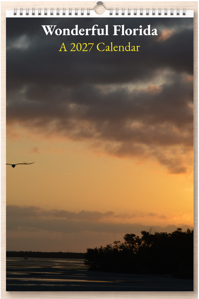 Wonderful Florida: A 2027 Calendar