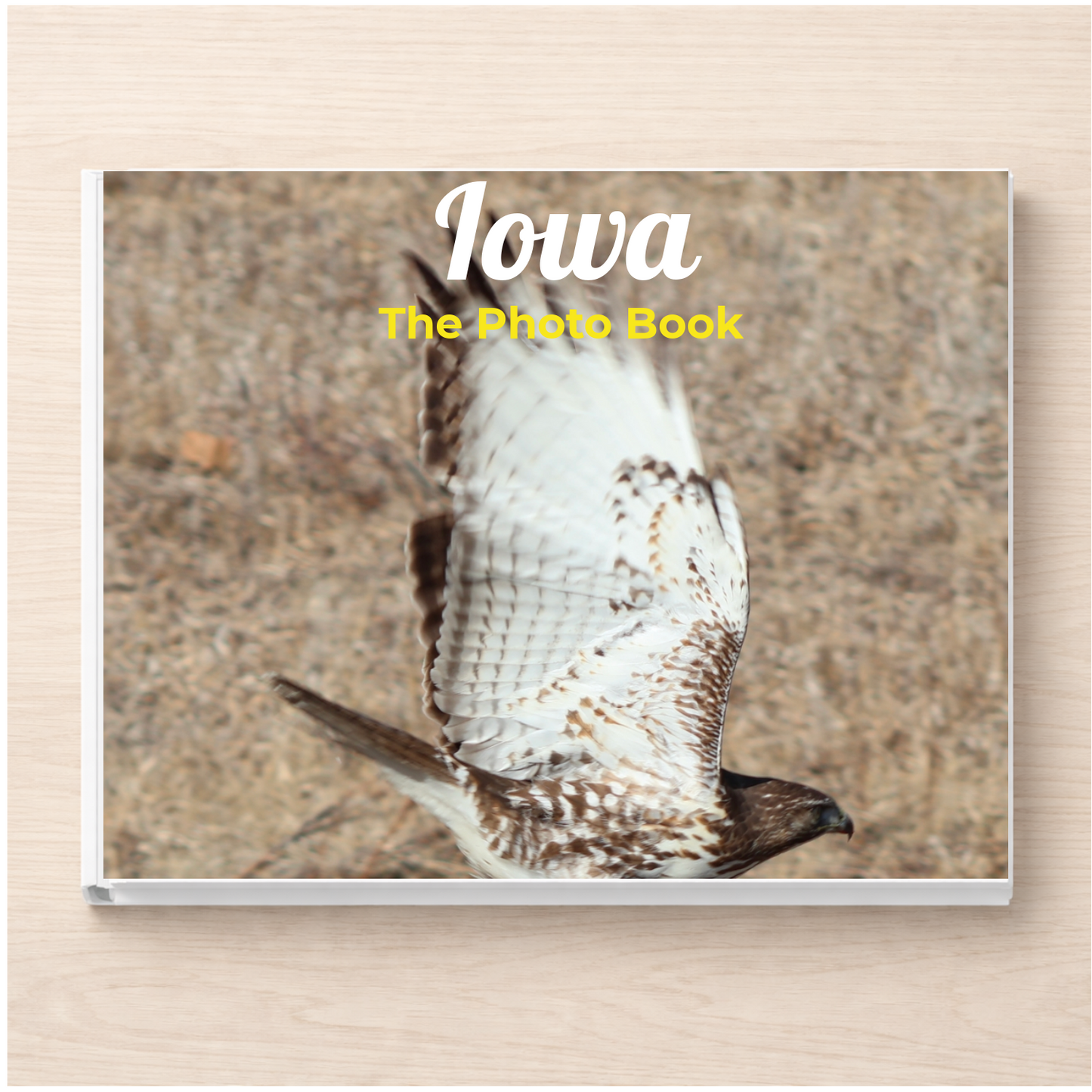 Iowa: The Photo Book