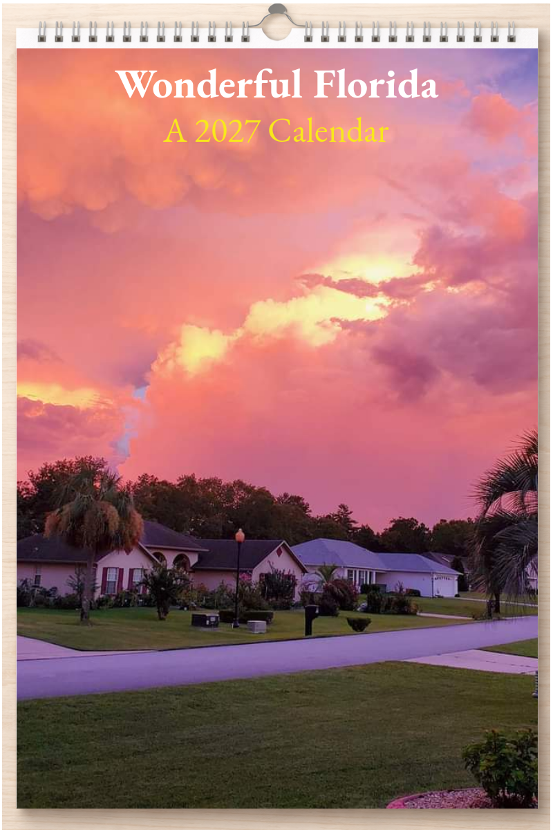 Wonderful Florida: A 2027 Calendar