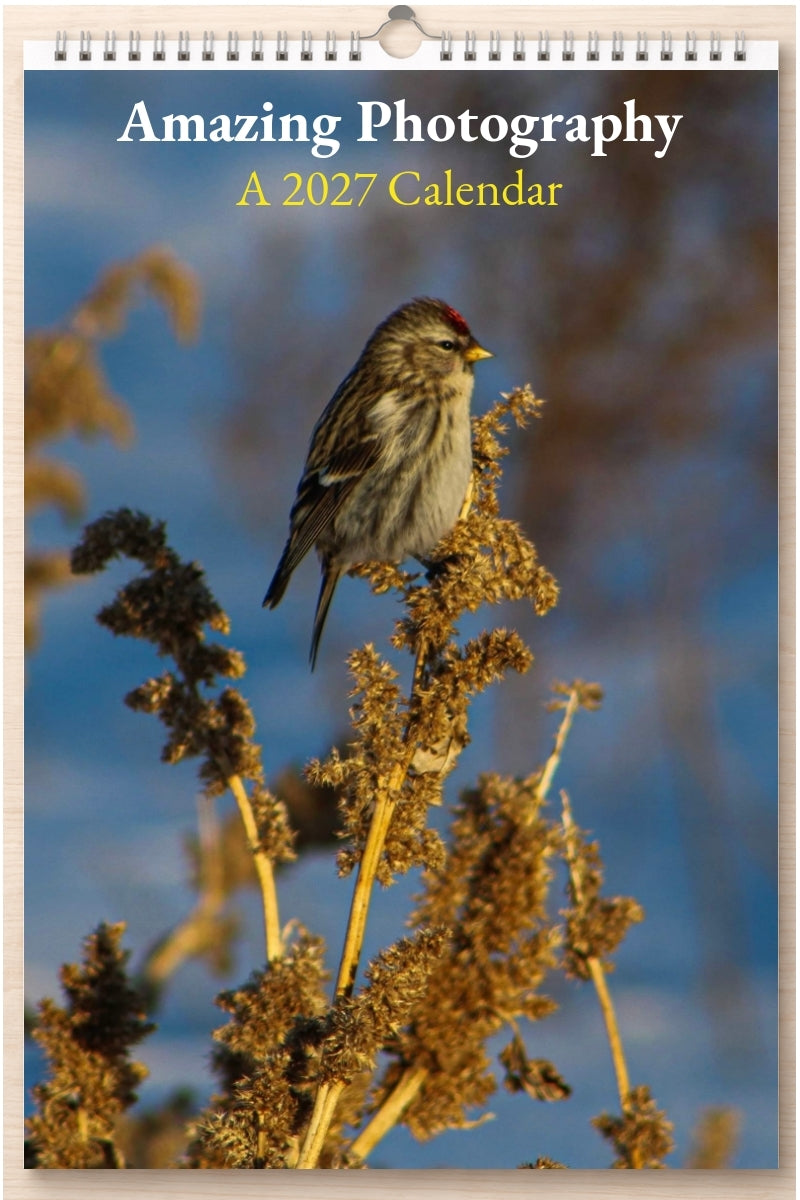 Amazing Photography: A 2027 Calendar