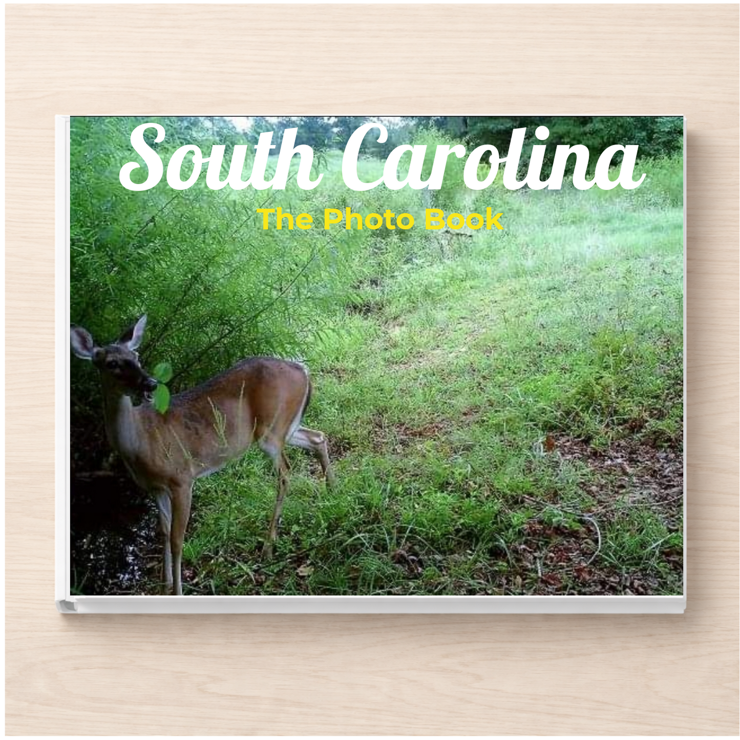 South Carolina: The Photo Book