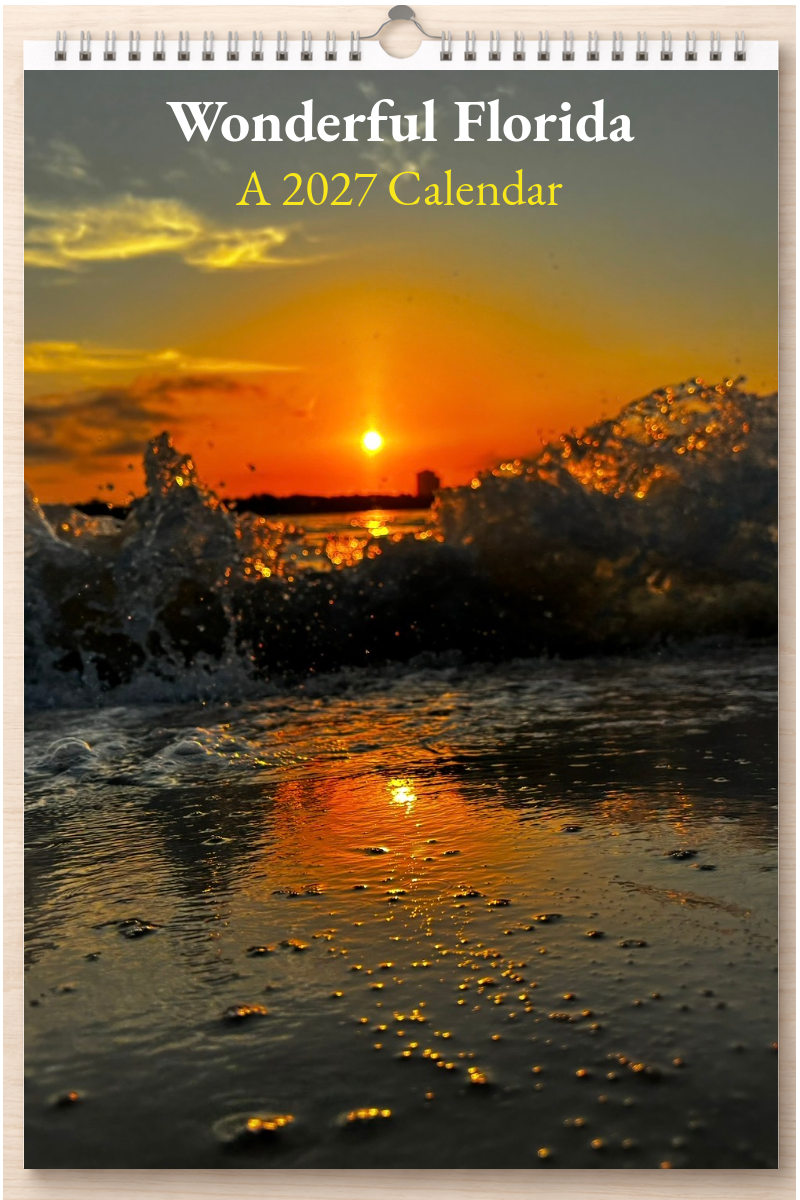 Wonderful Florida: A 2027 Calendar