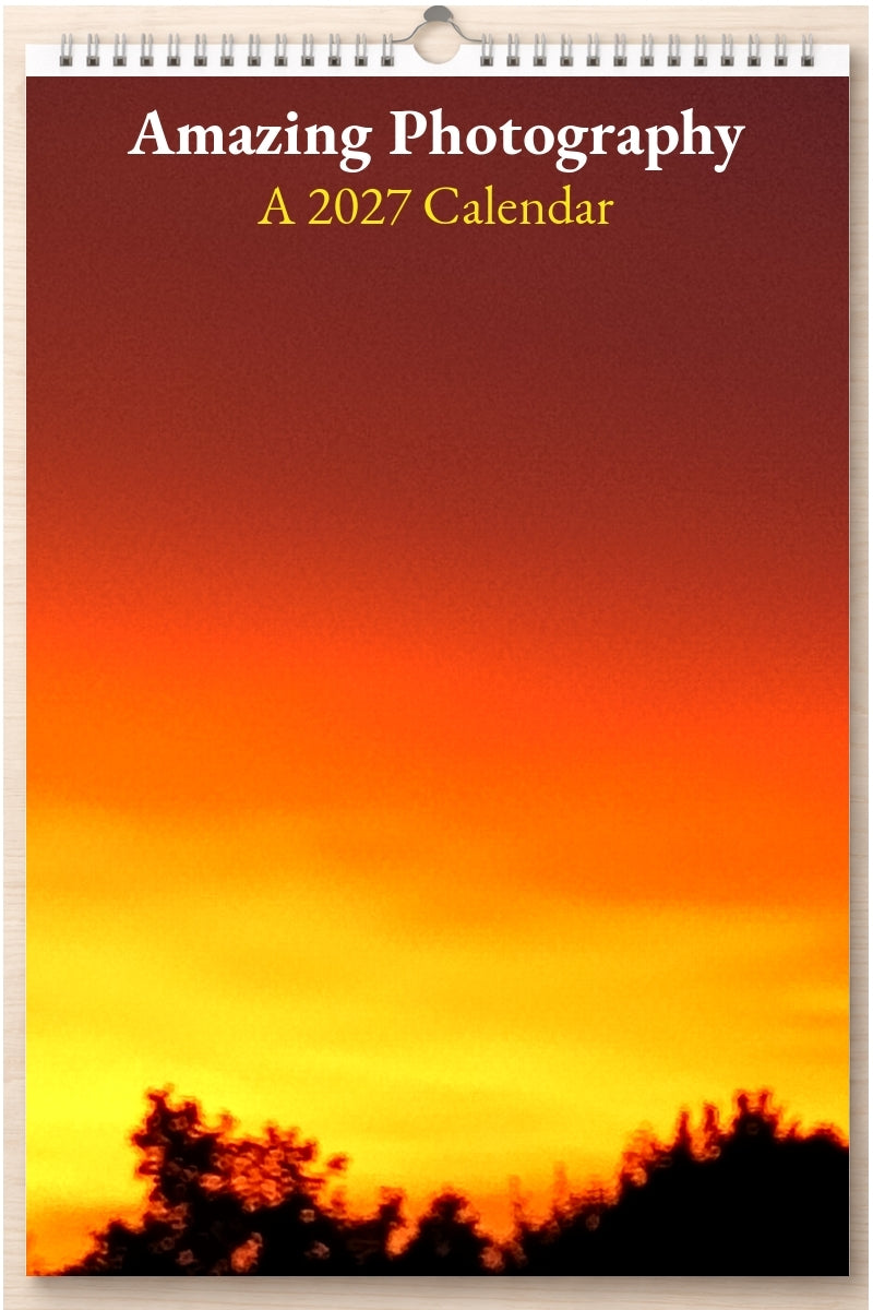 Amazing Photography: A 2027 Calendar