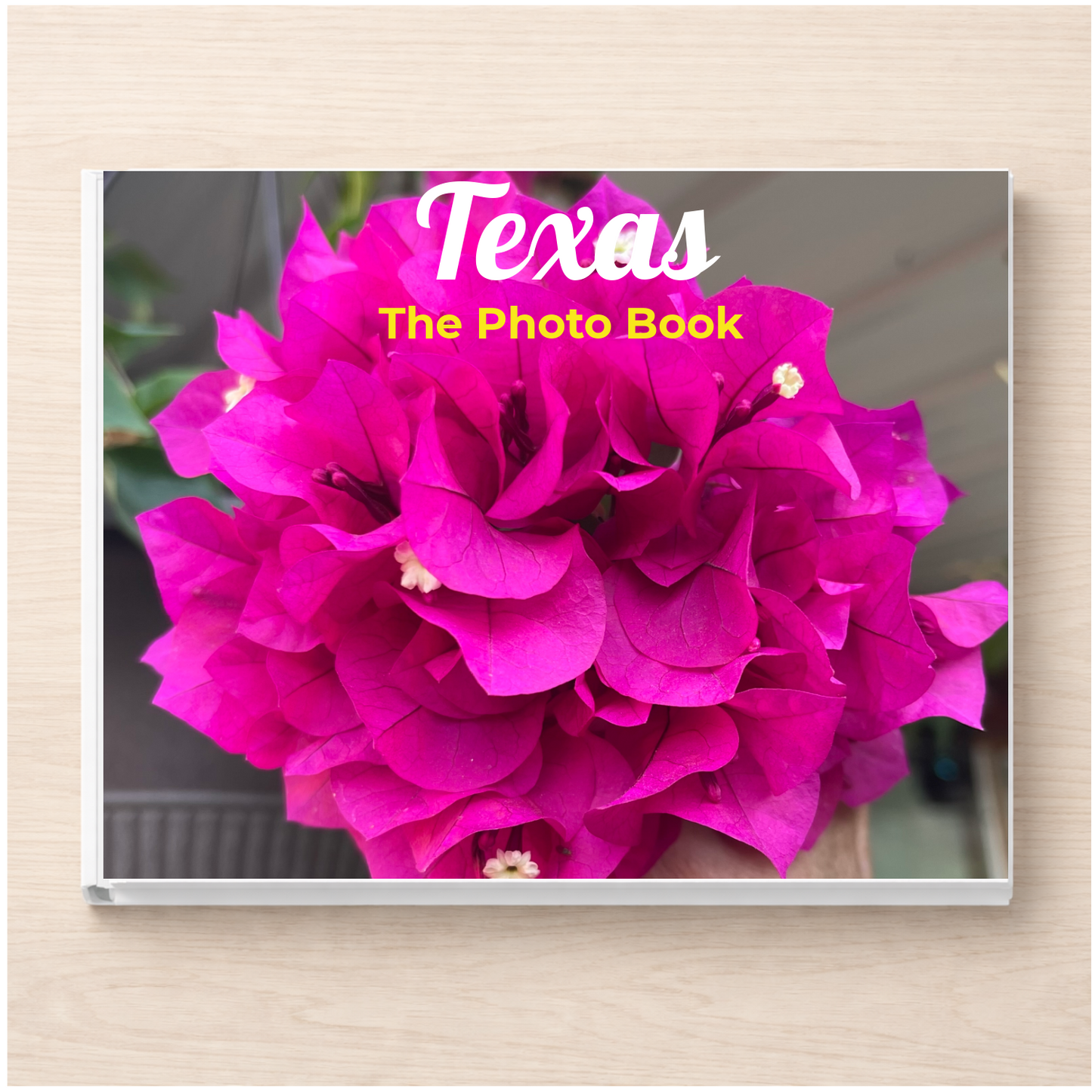 Texas: The Photo Book