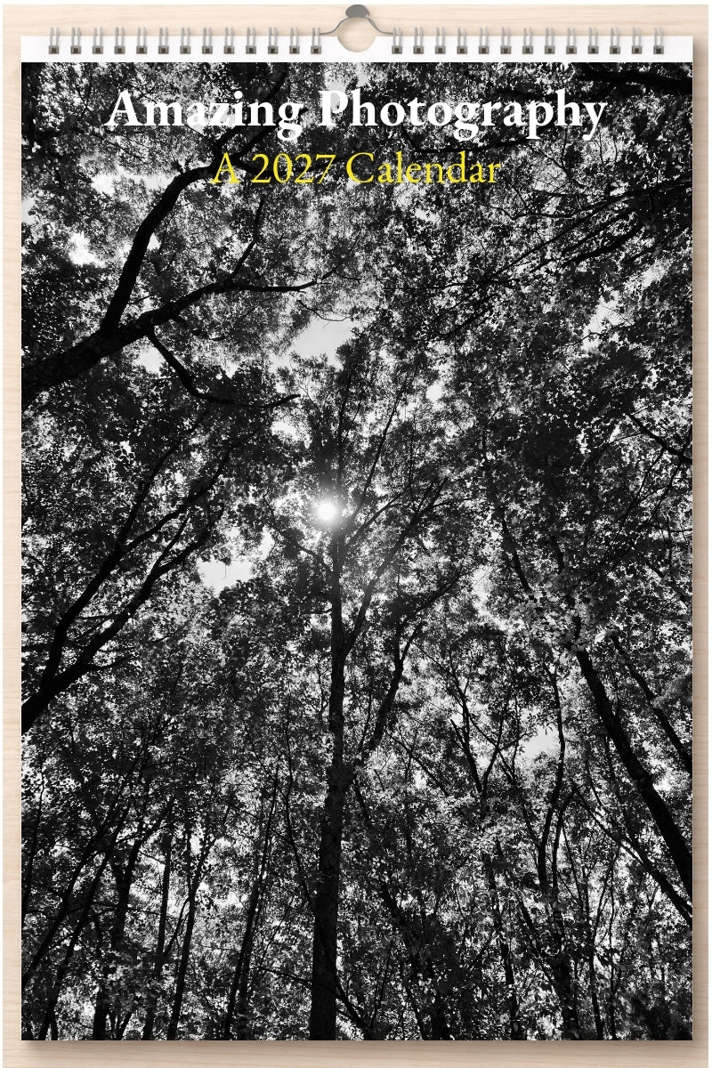 Amazing Photography: A 2027 Calendar
