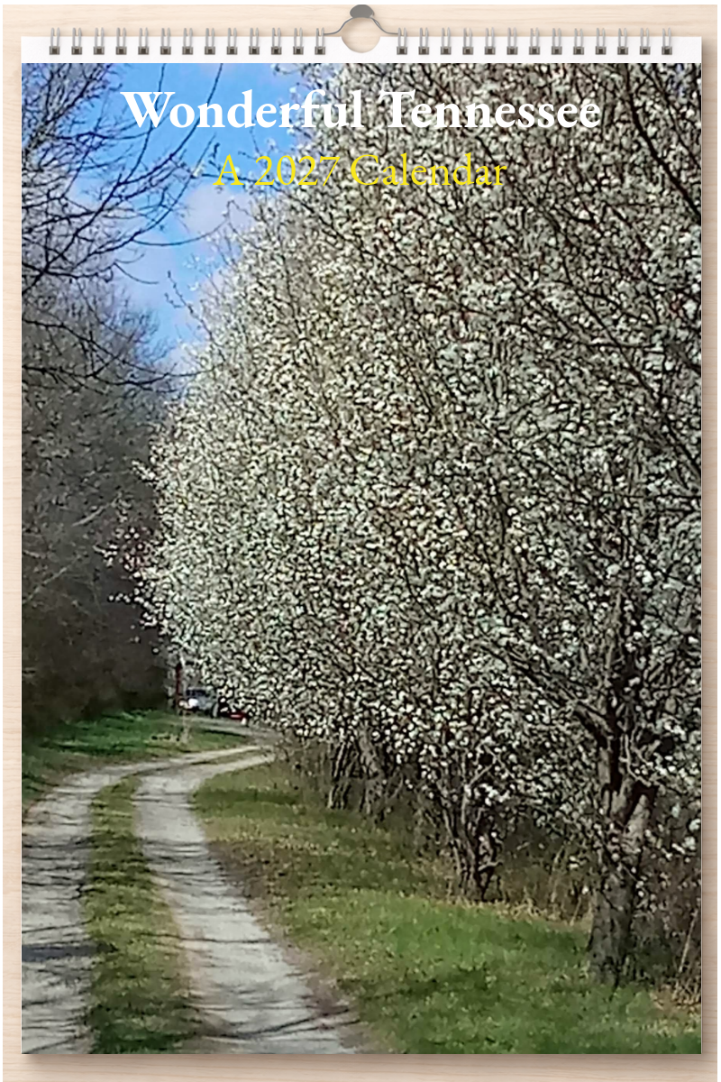 Wonderful Tennessee: A 2027 Calendar