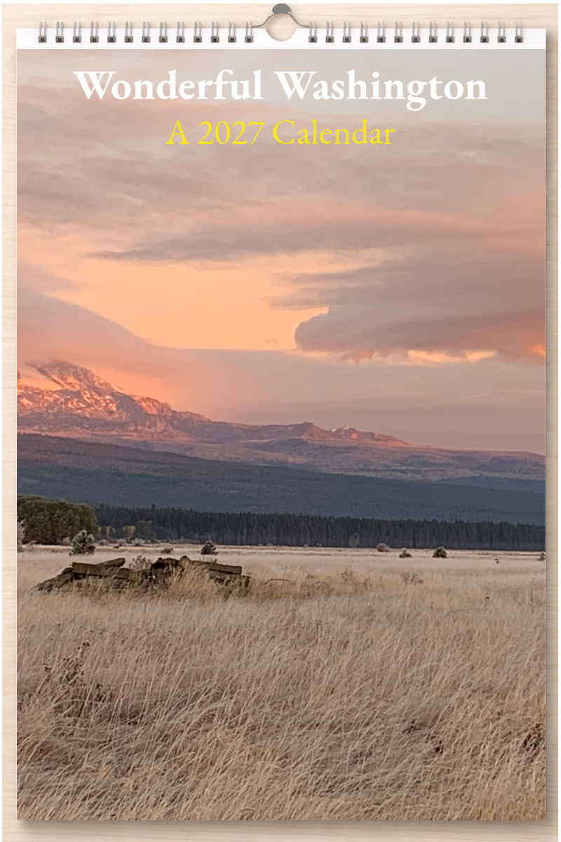 Wonderful Washington: A 2027 Calendar