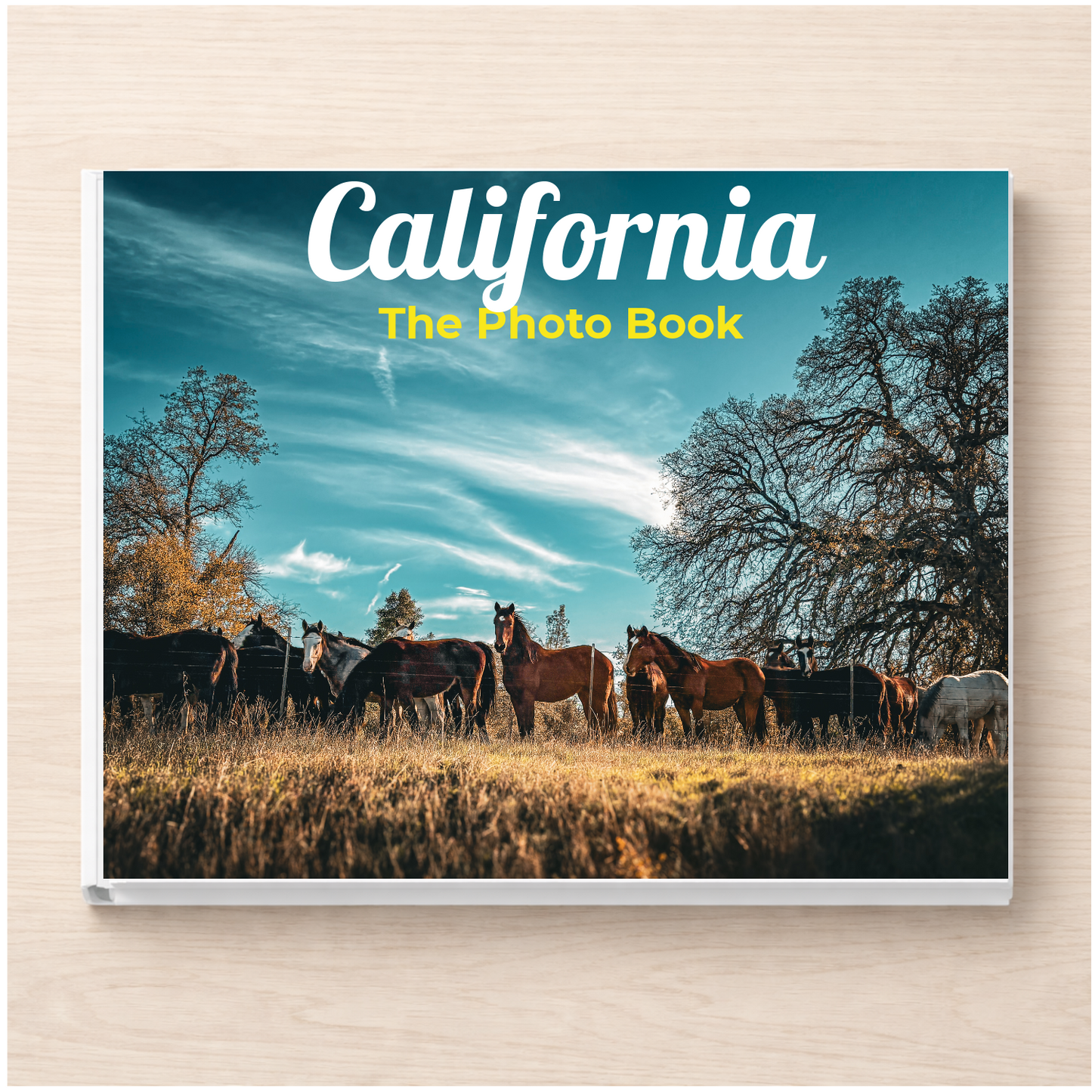 California: The Photo Book