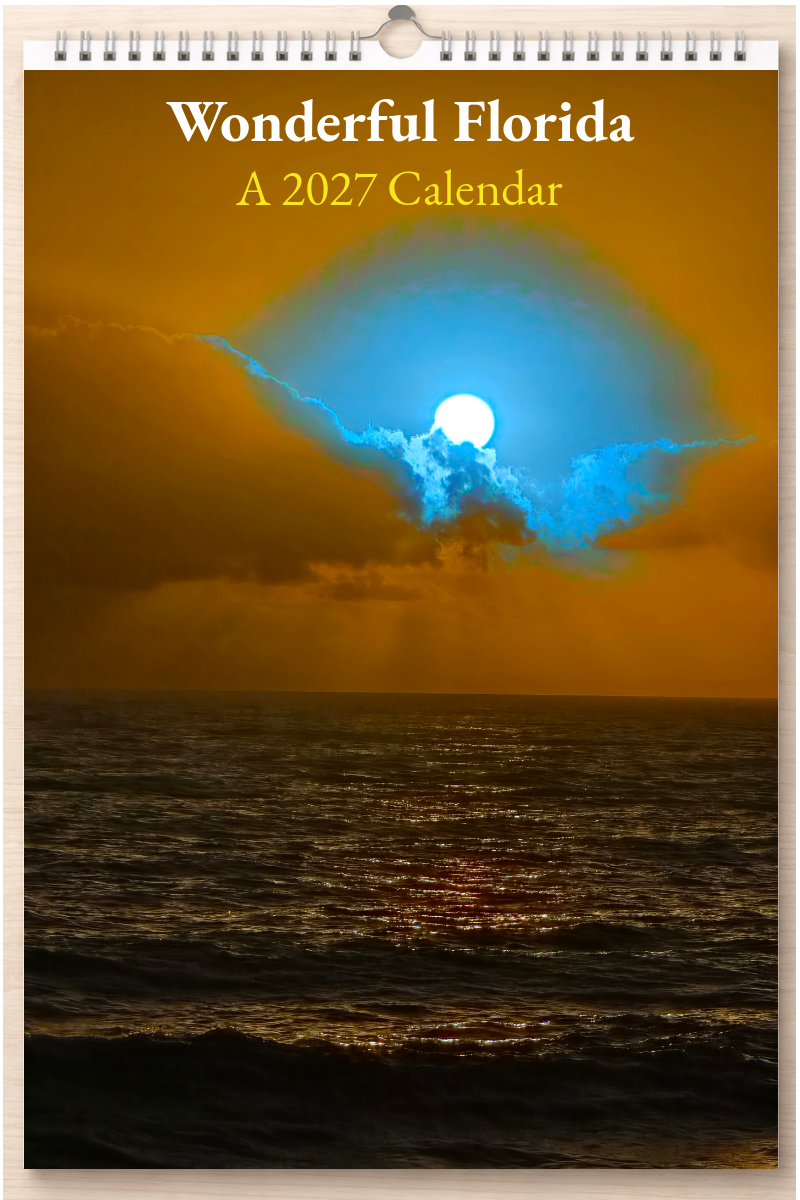 Wonderful Florida: A 2027 Calendar