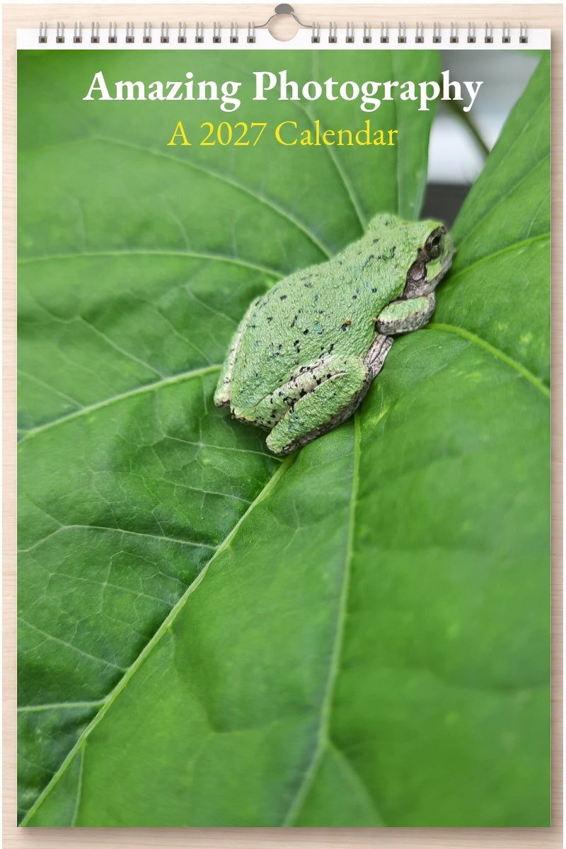 Amazing Photography: A 2027 Calendar