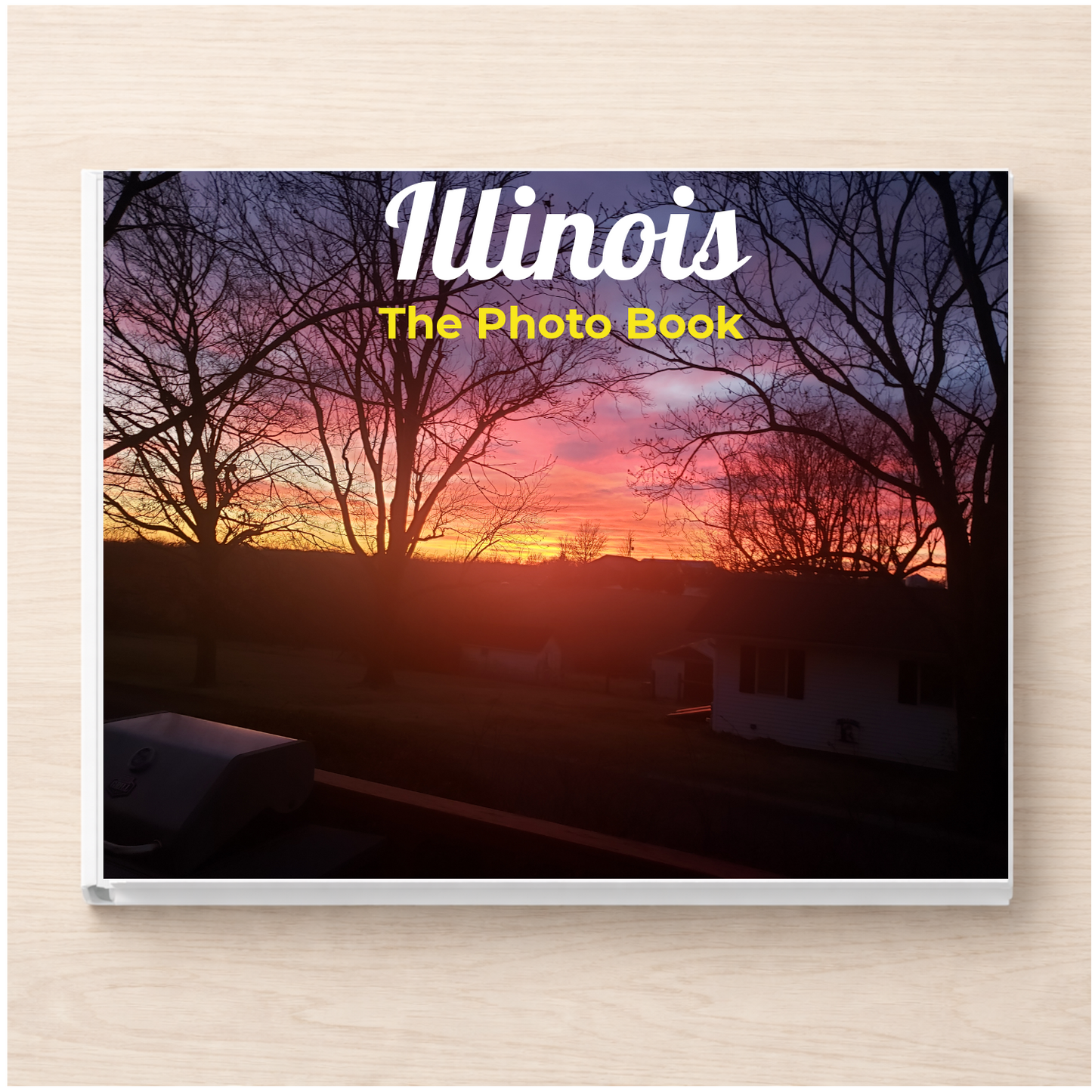 Illinois: The Photo Book