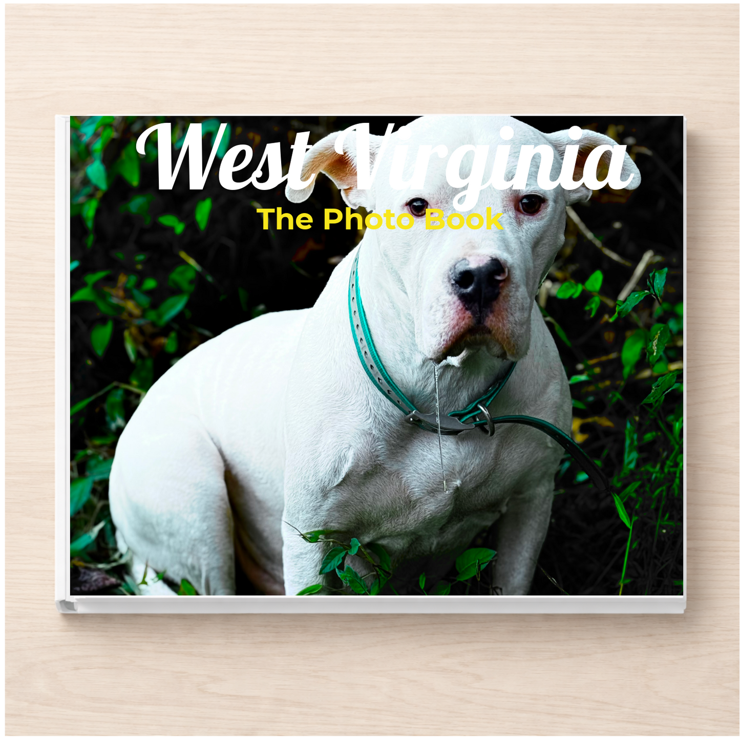 West Virginia: The Photo Book