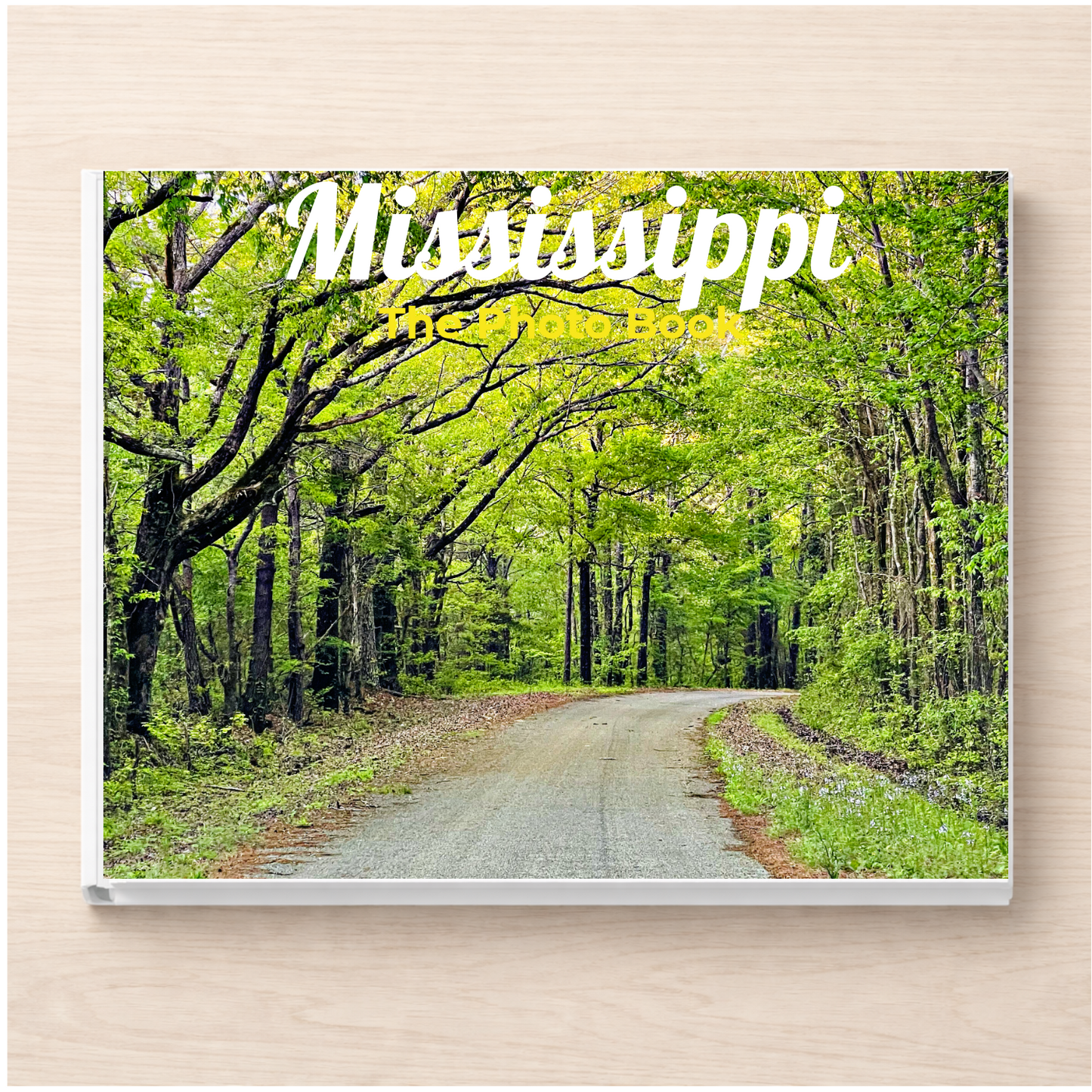 Mississippi: The Photo Book