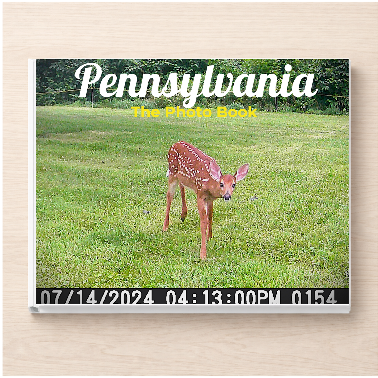 Pennsylvania: The Photo Book