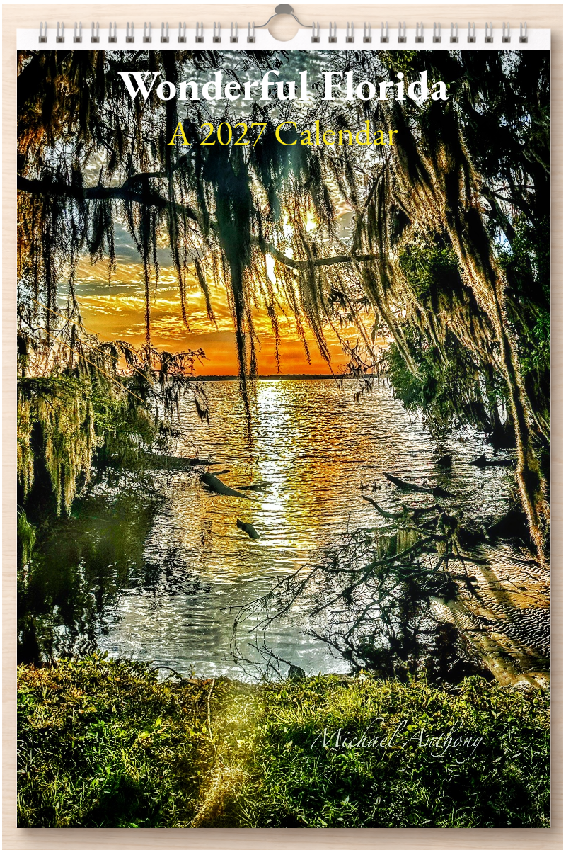 Wonderful Florida: A 2027 Calendar