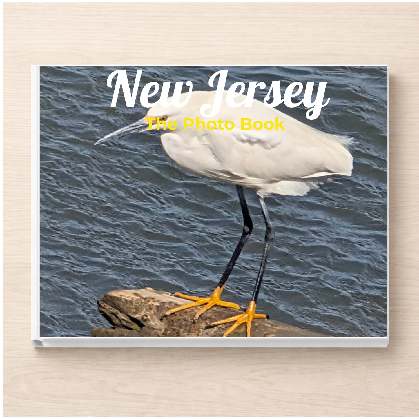 New Jersey: The Photo Book