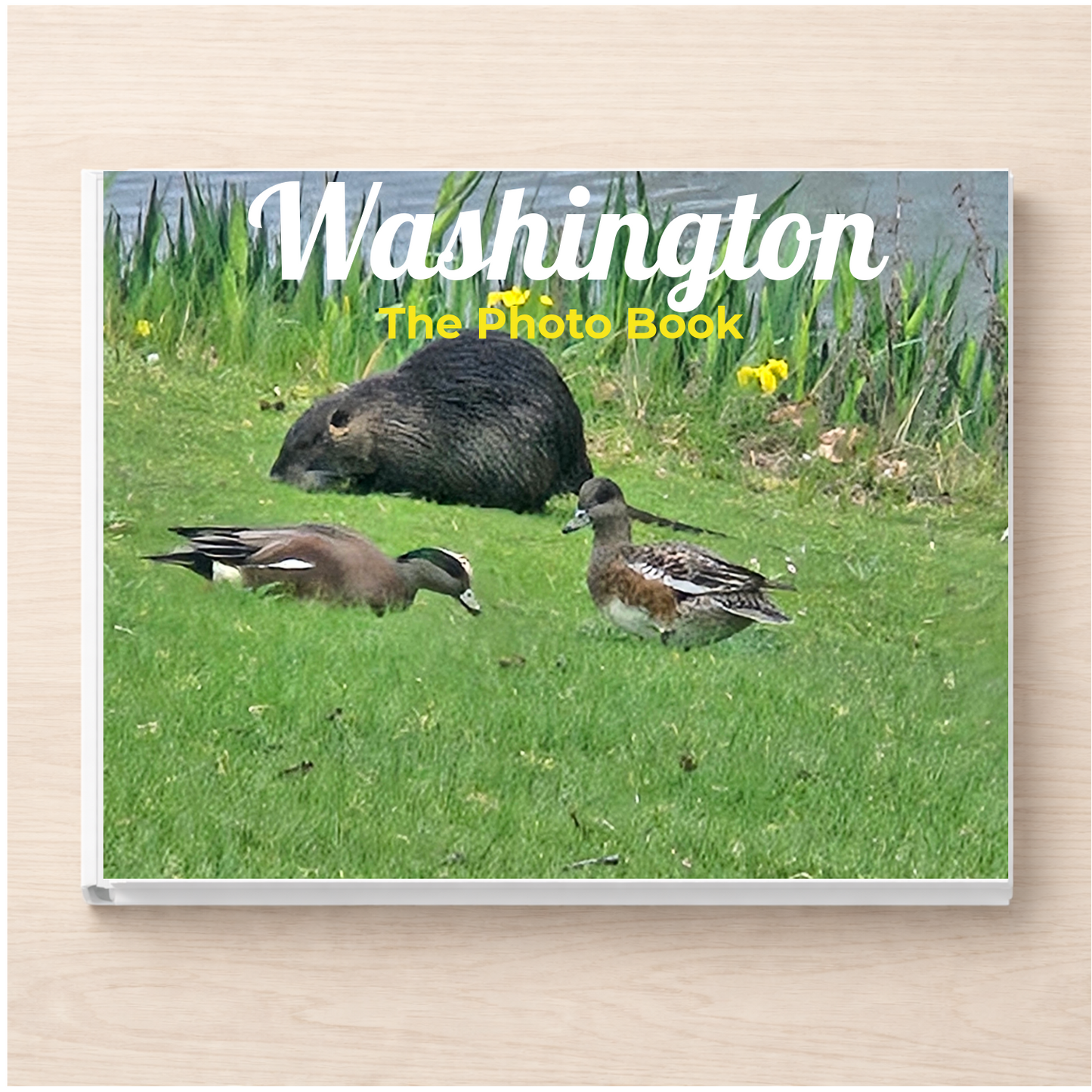 Washington: The Photo Book