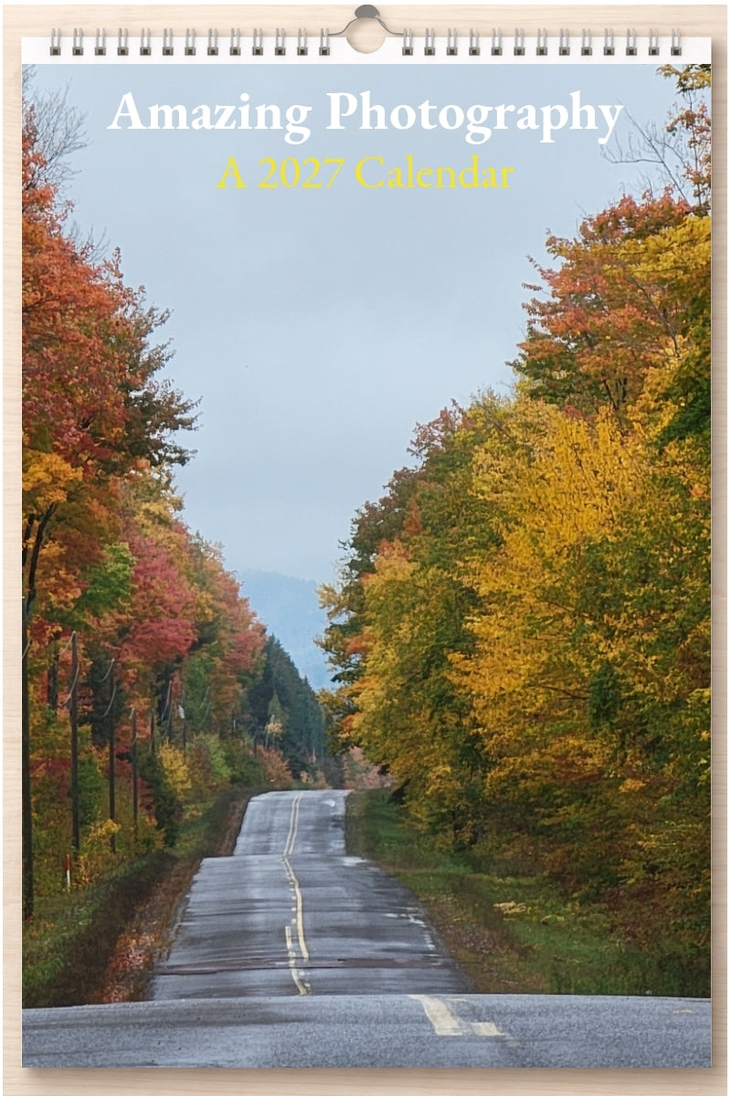 Amazing Photography: A 2027 Calendar