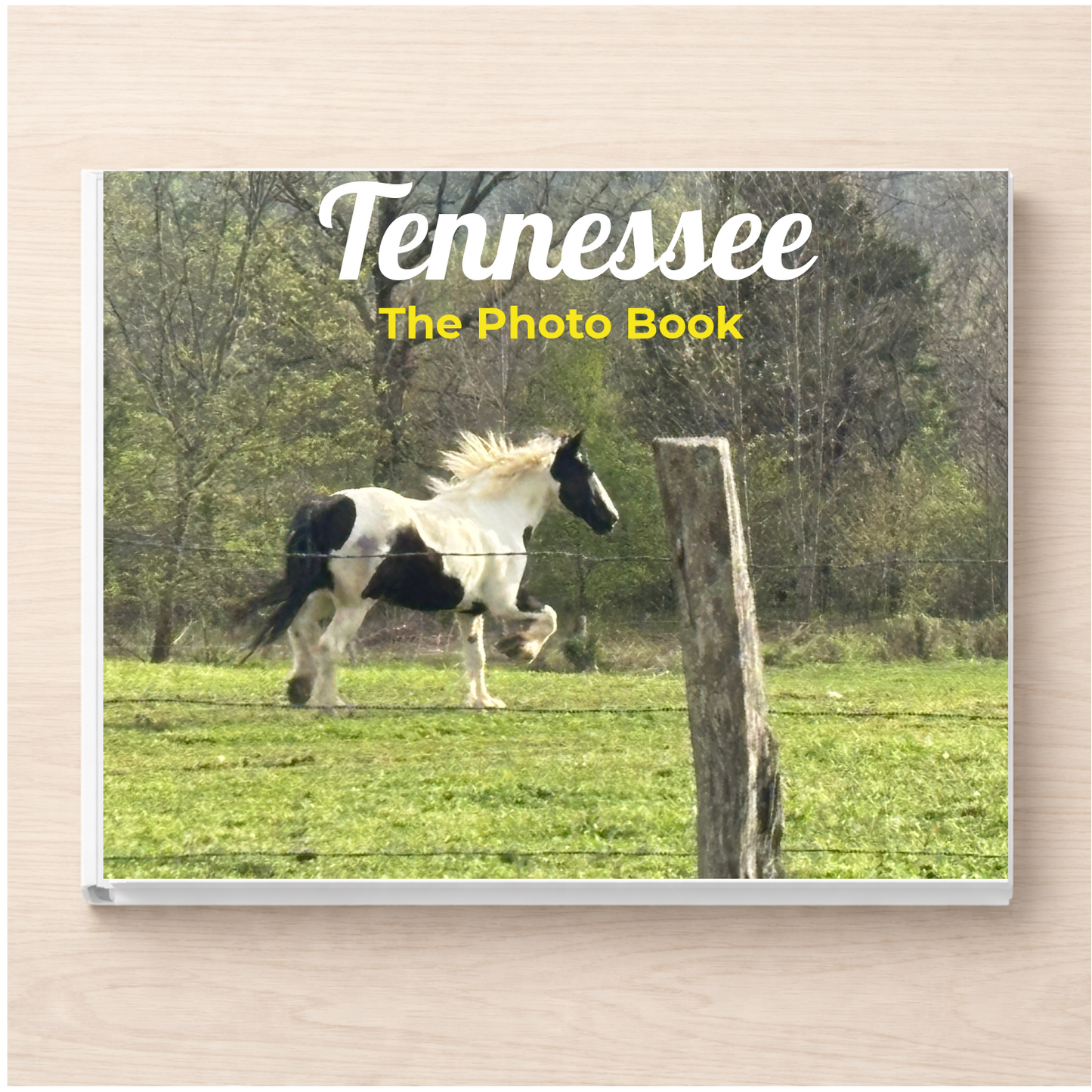 Tennessee: The Photo Book