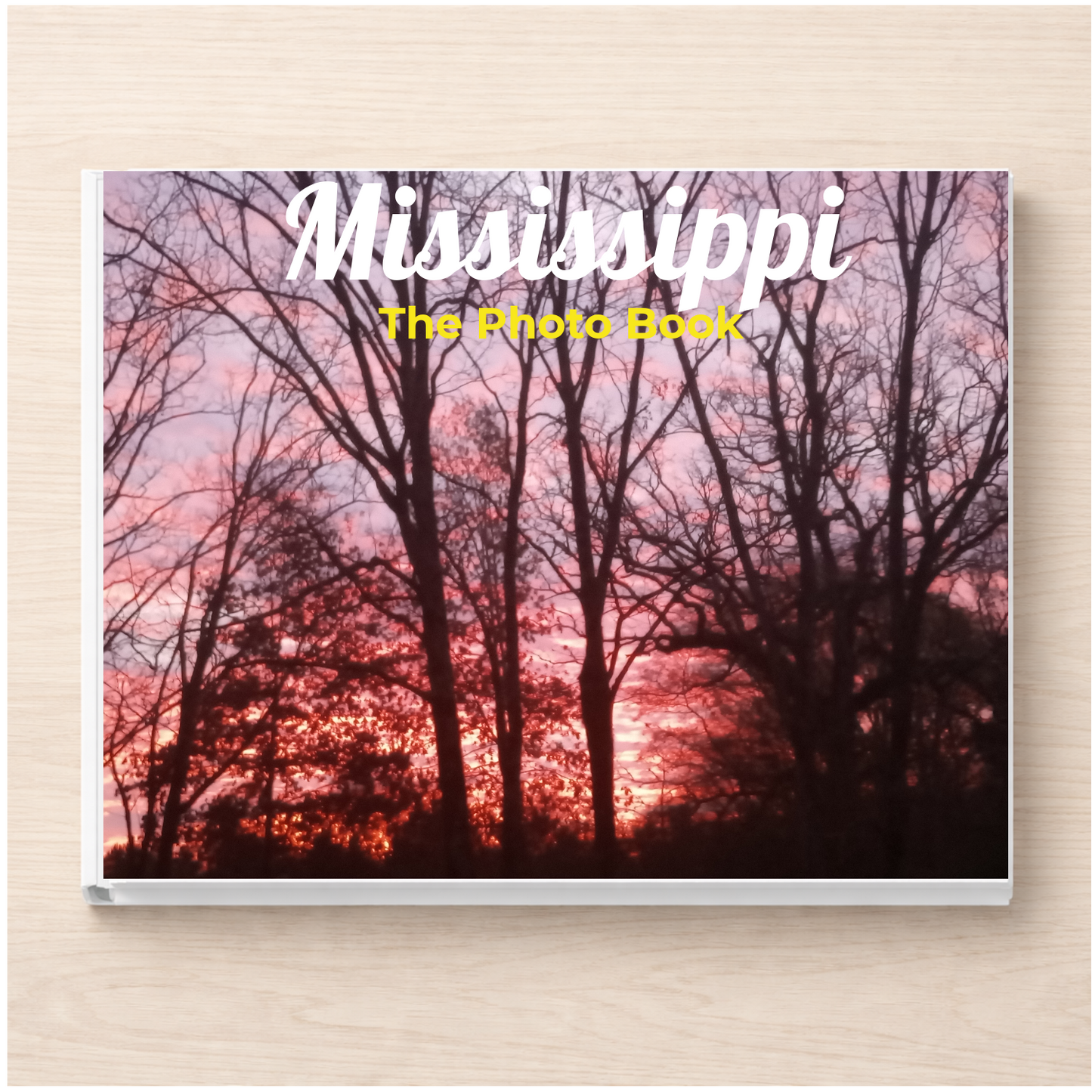 Mississippi: The Photo Book