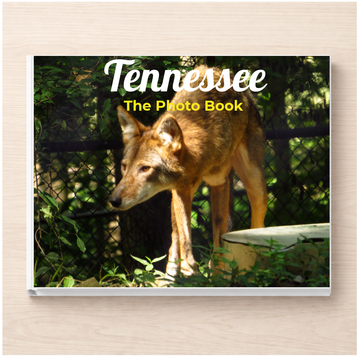 Tennessee: The Photo Book