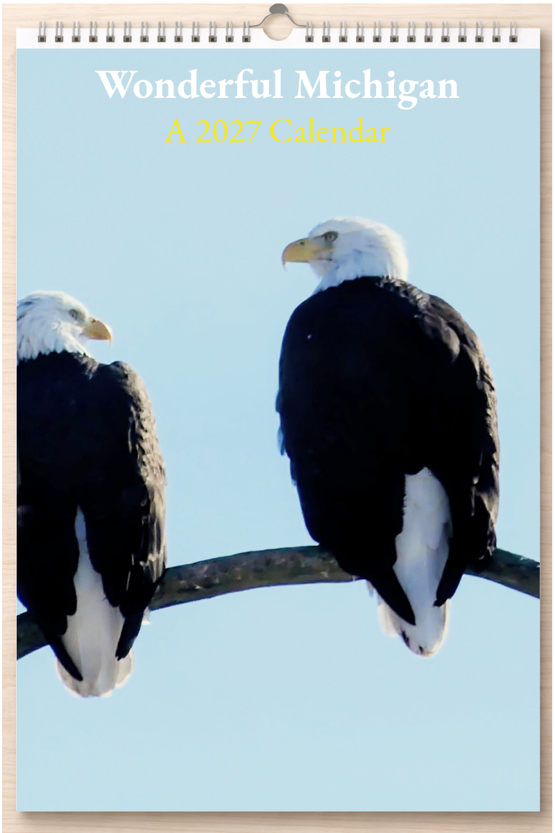 Wonderful Michigan: A 2027 Calendar