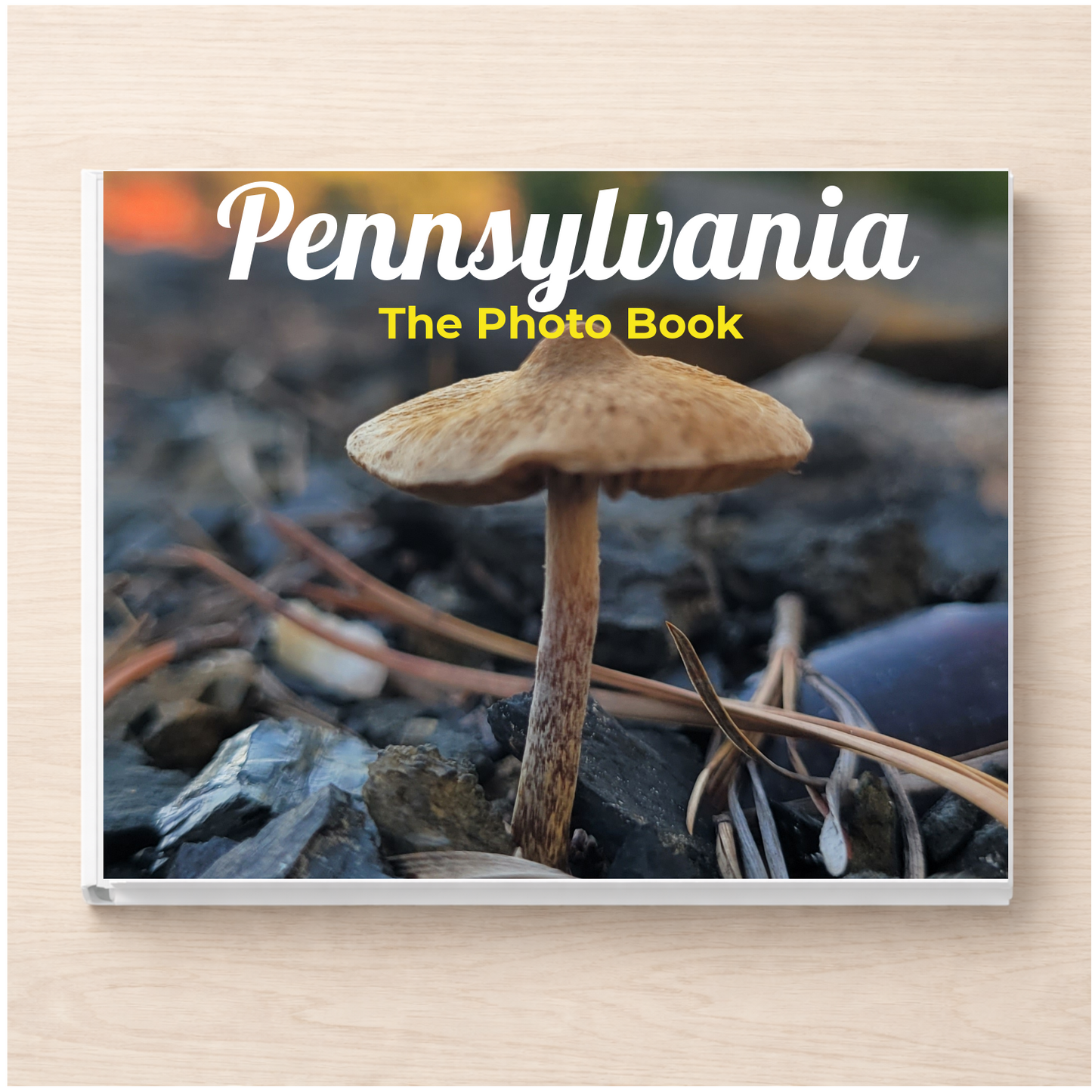 Pennsylvania: The Photo Book