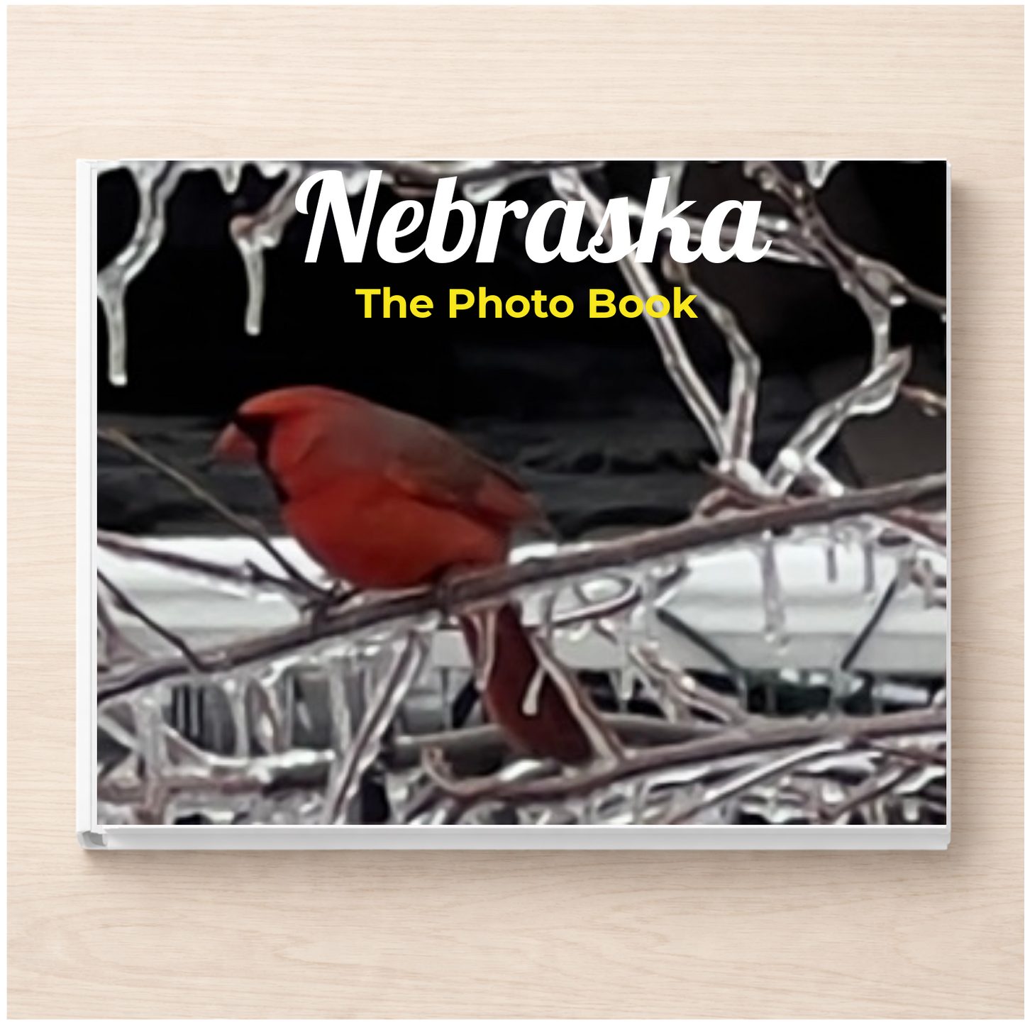 Nebraska: The Photo Book