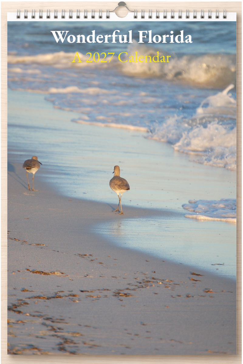Wonderful Florida: A 2027 Calendar