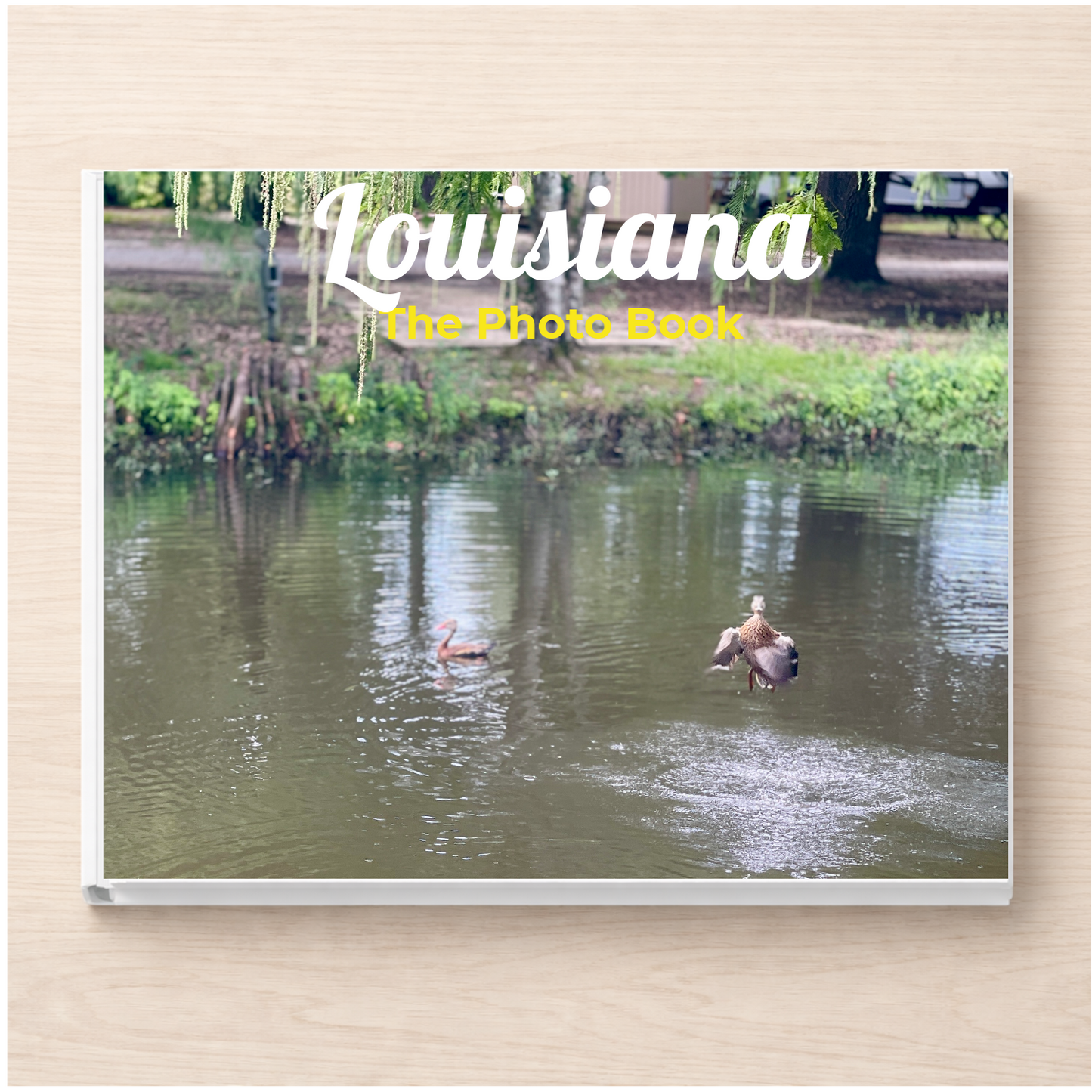 Louisiana: The Photo Book