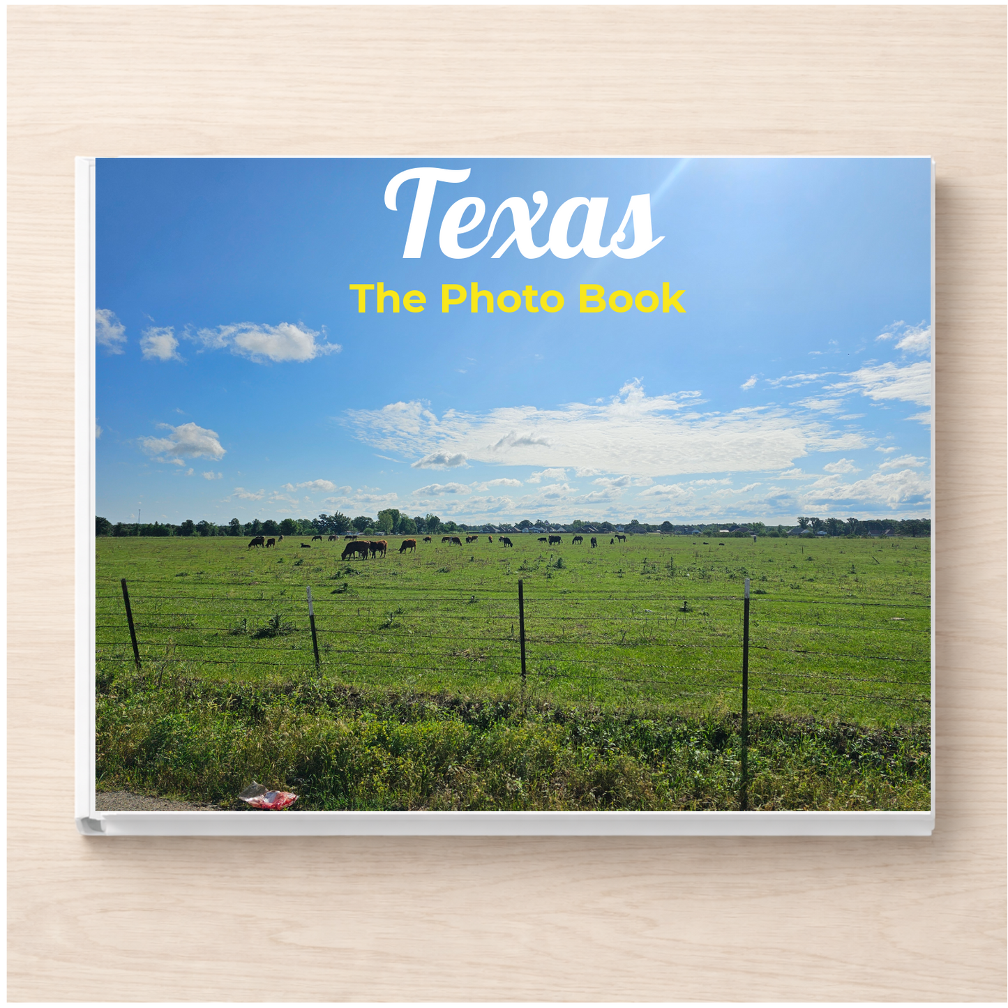 Texas: The Photo Book
