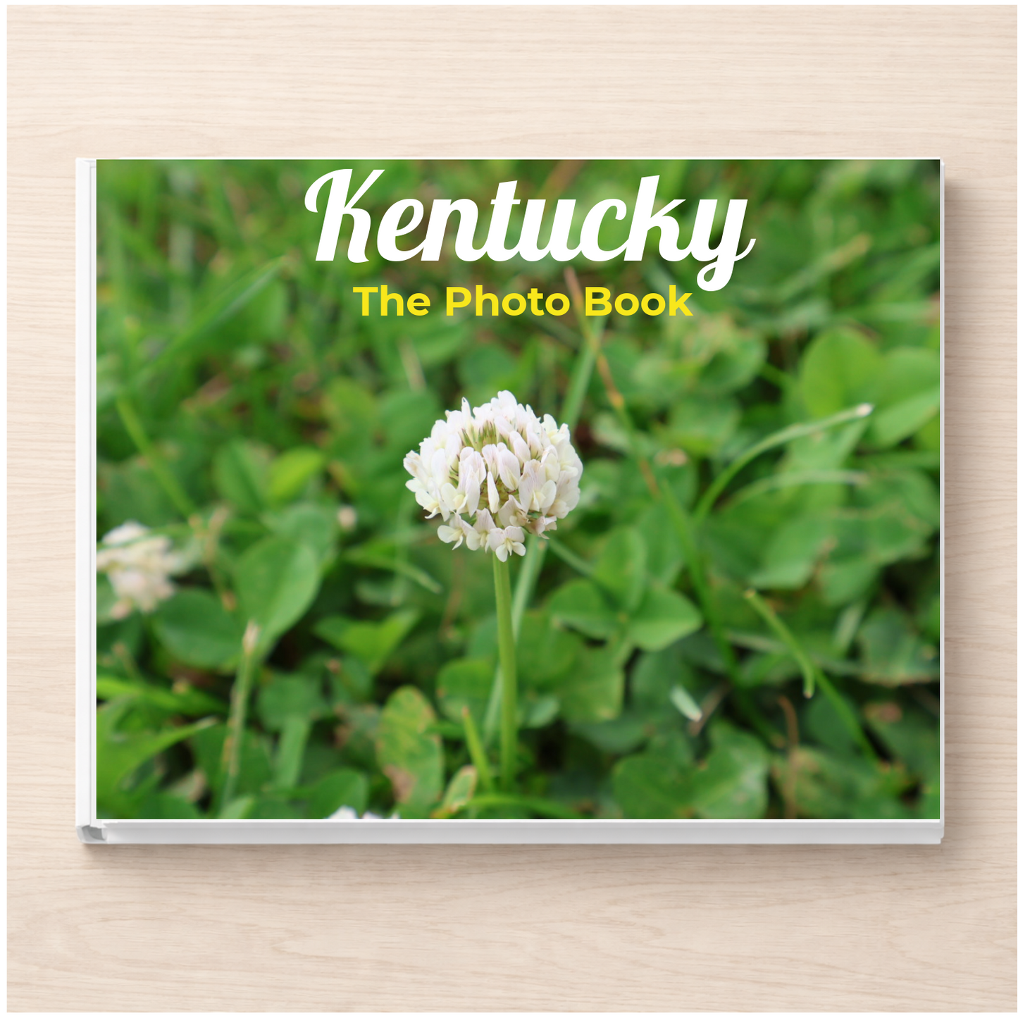 Kentucky: The Photo Book