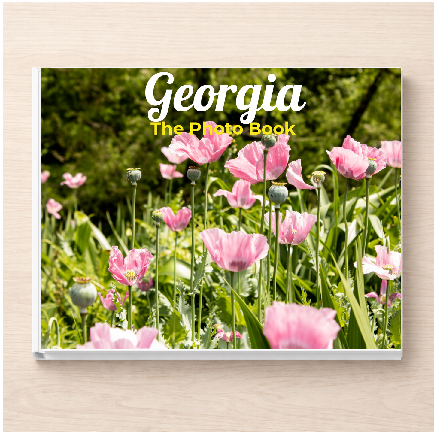 Georgia: The Photo Book
