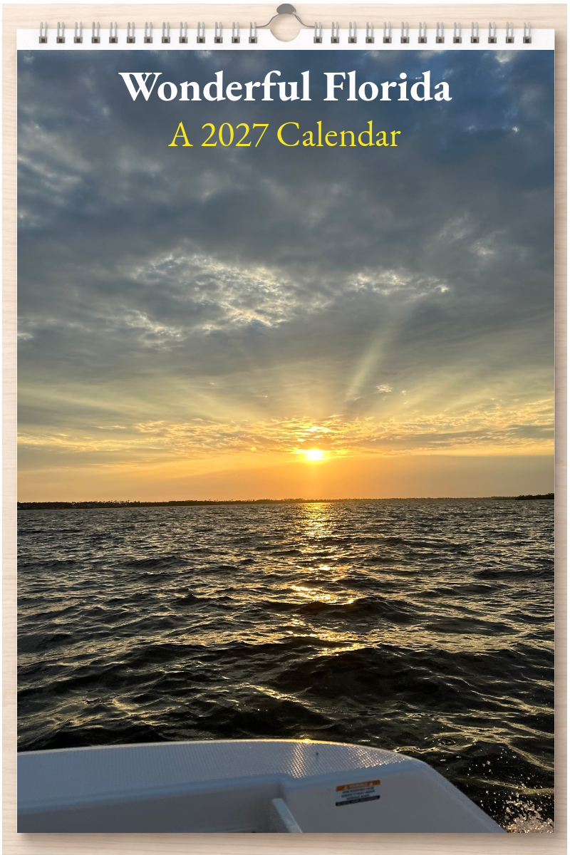 Wonderful Florida: A 2027 Calendar