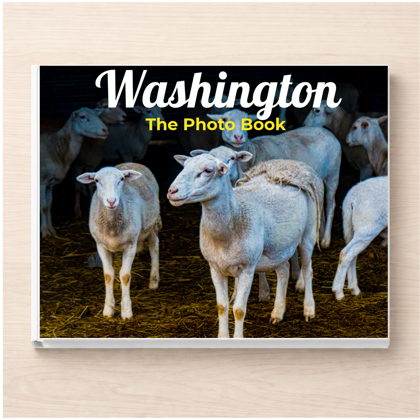 Washington: The Photo Book