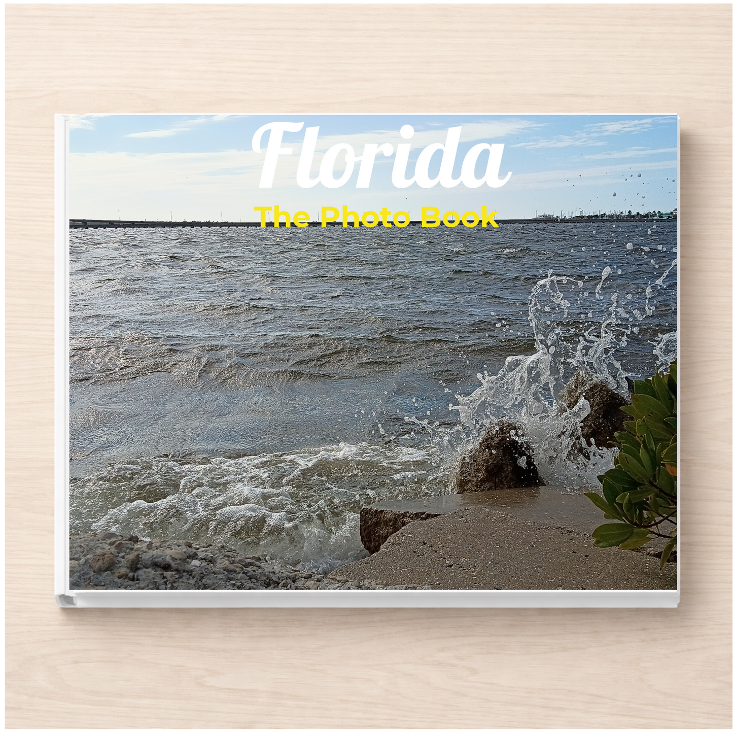 Florida: The Photo Book