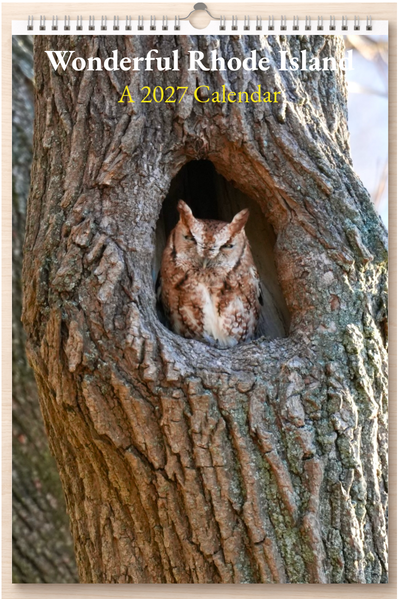 Wonderful Rhode Island: A 2027 Calendar