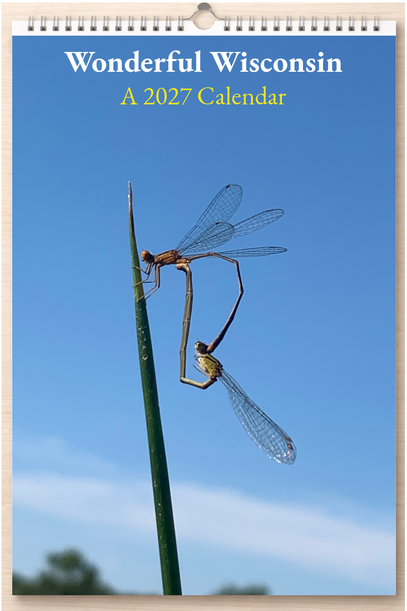 Wonderful Wisconsin: A 2027 Calendar