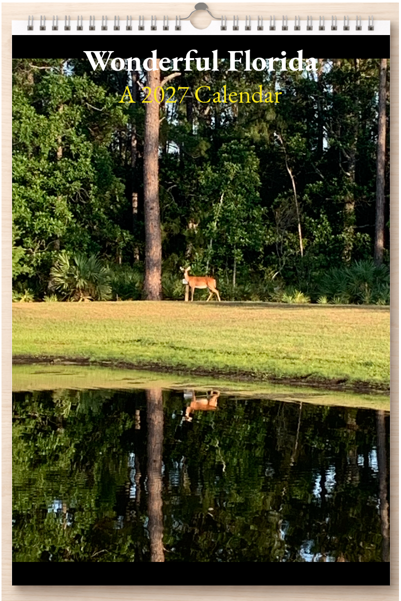 Wonderful Florida: A 2027 Calendar