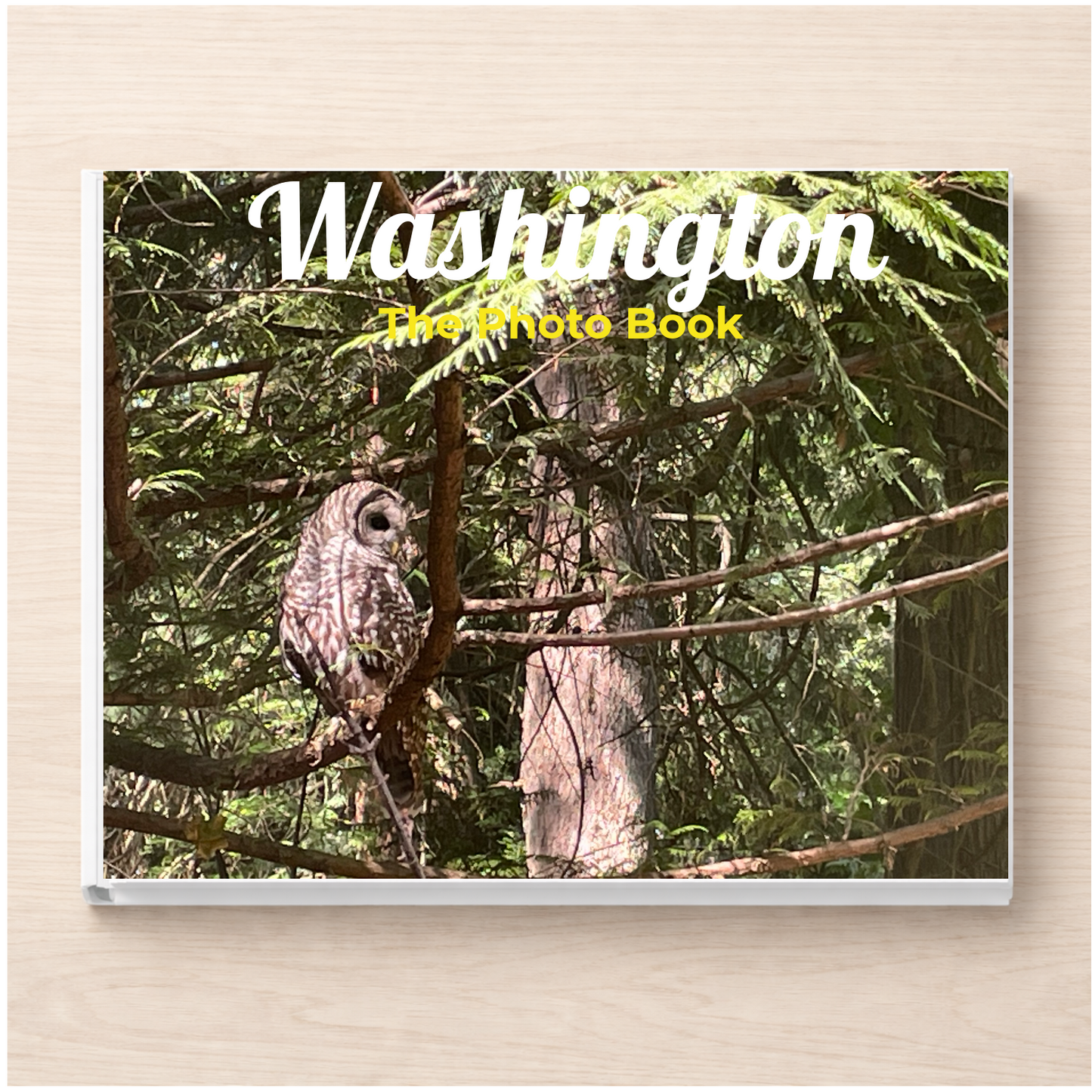 Washington: The Photo Book