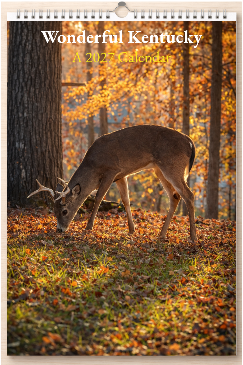 Wonderful Kentucky: A 2027 Calendar