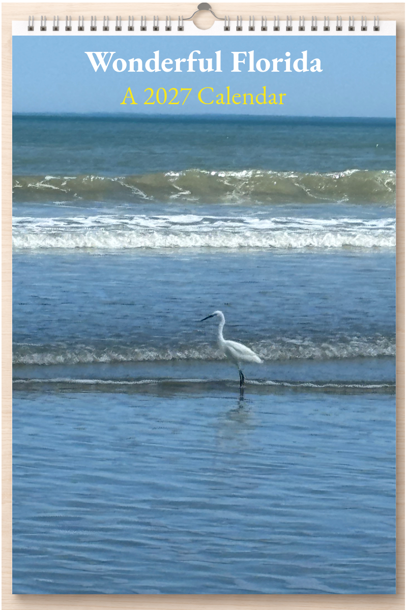 Wonderful Florida: A 2027 Calendar