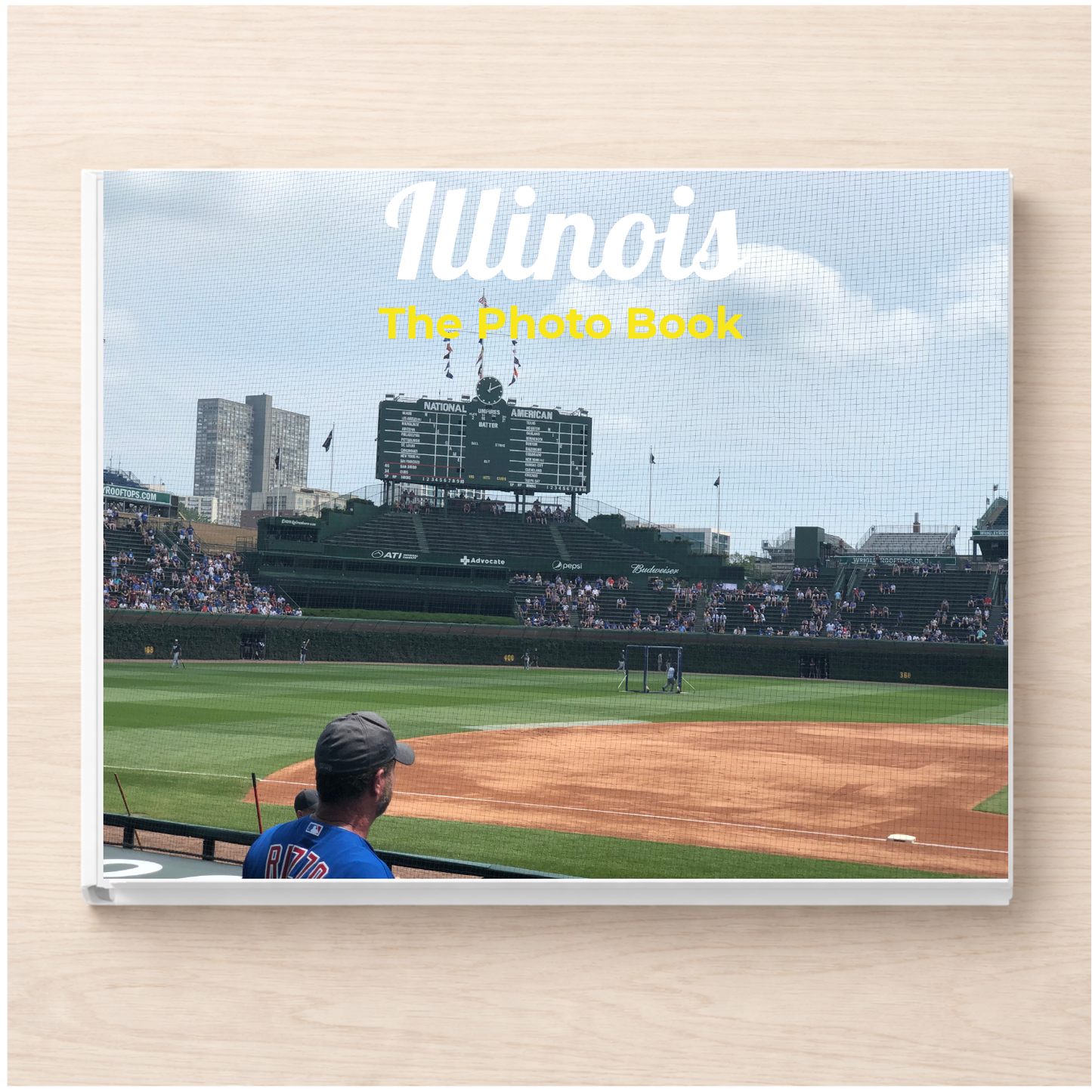 Illinois: The Photo Book