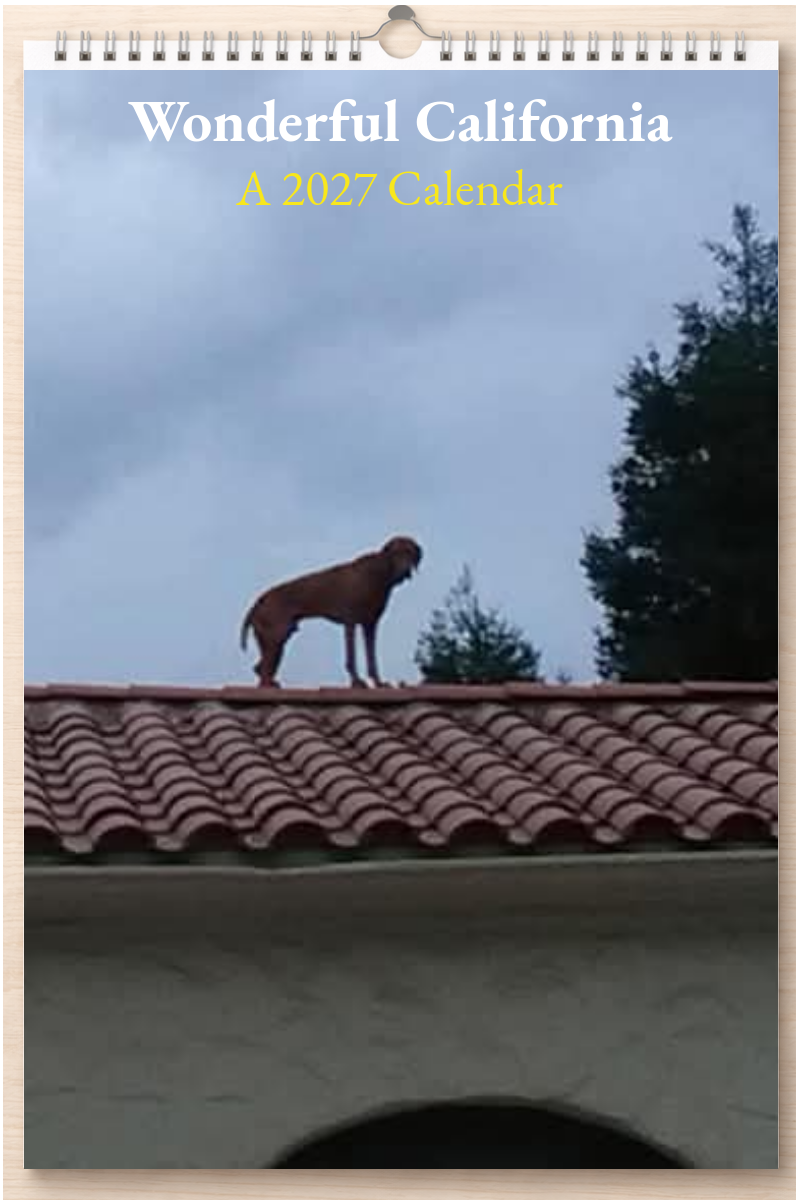 Wonderful California: A 2027 Calendar