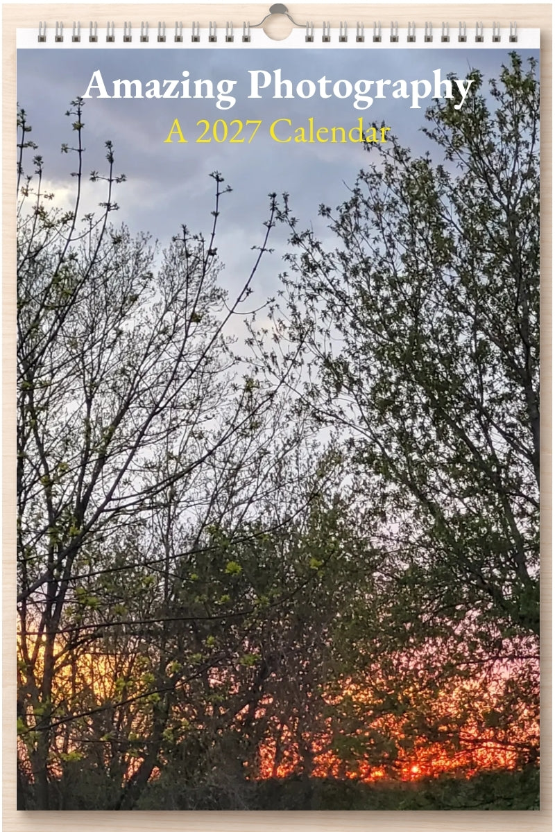 Amazing Photography: A 2027 Calendar