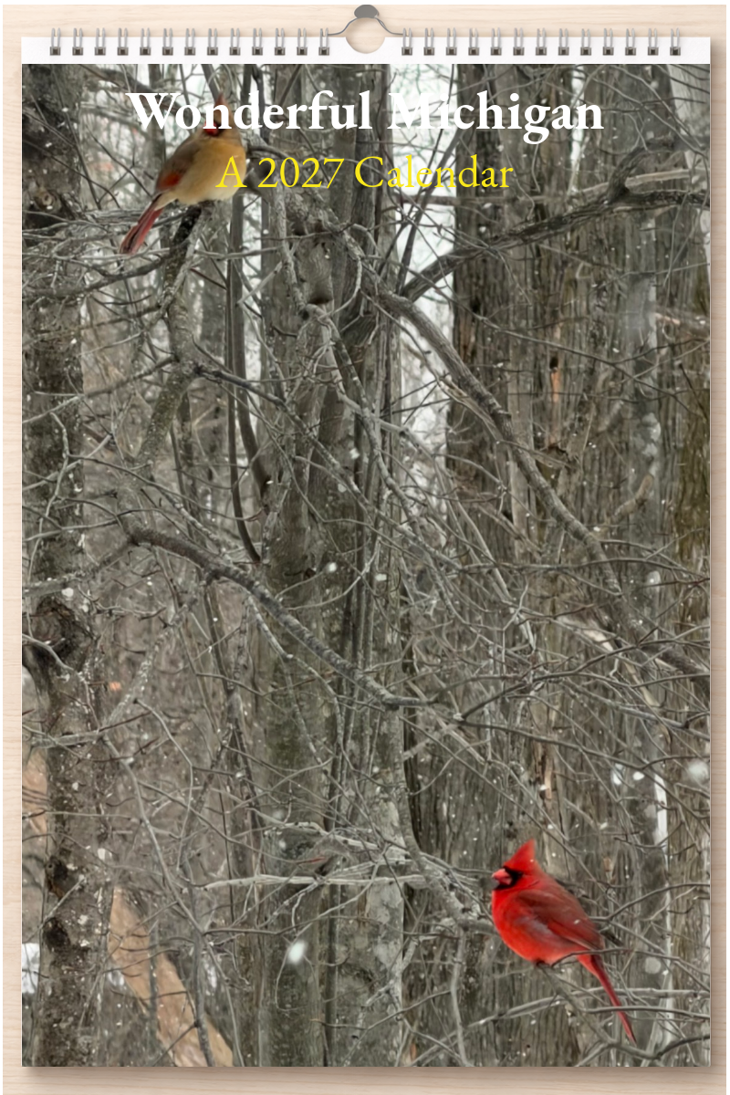 Wonderful Michigan: A 2027 Calendar