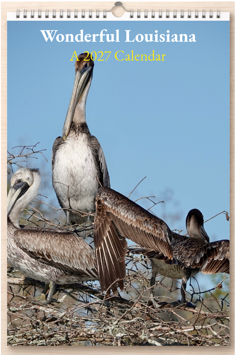 Wonderful Louisiana: A 2027 Calendar
