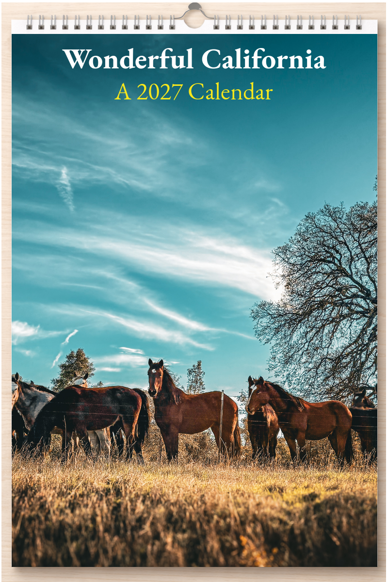 Wonderful California: A 2027 Calendar